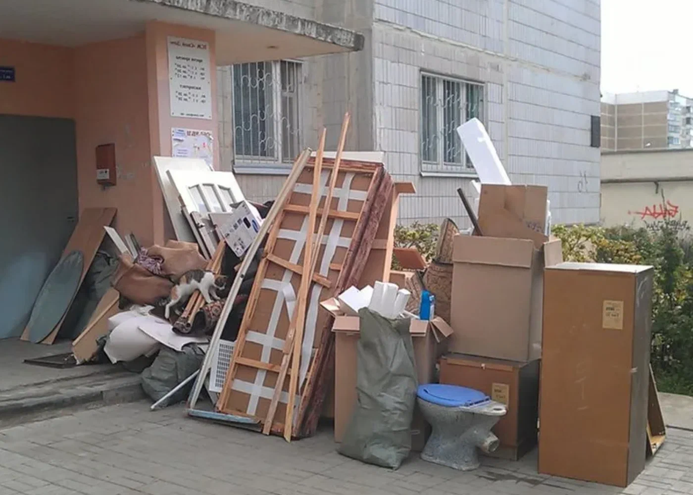 Профессиональный вывоз мусора из квартиры в Валуйках в октябре
