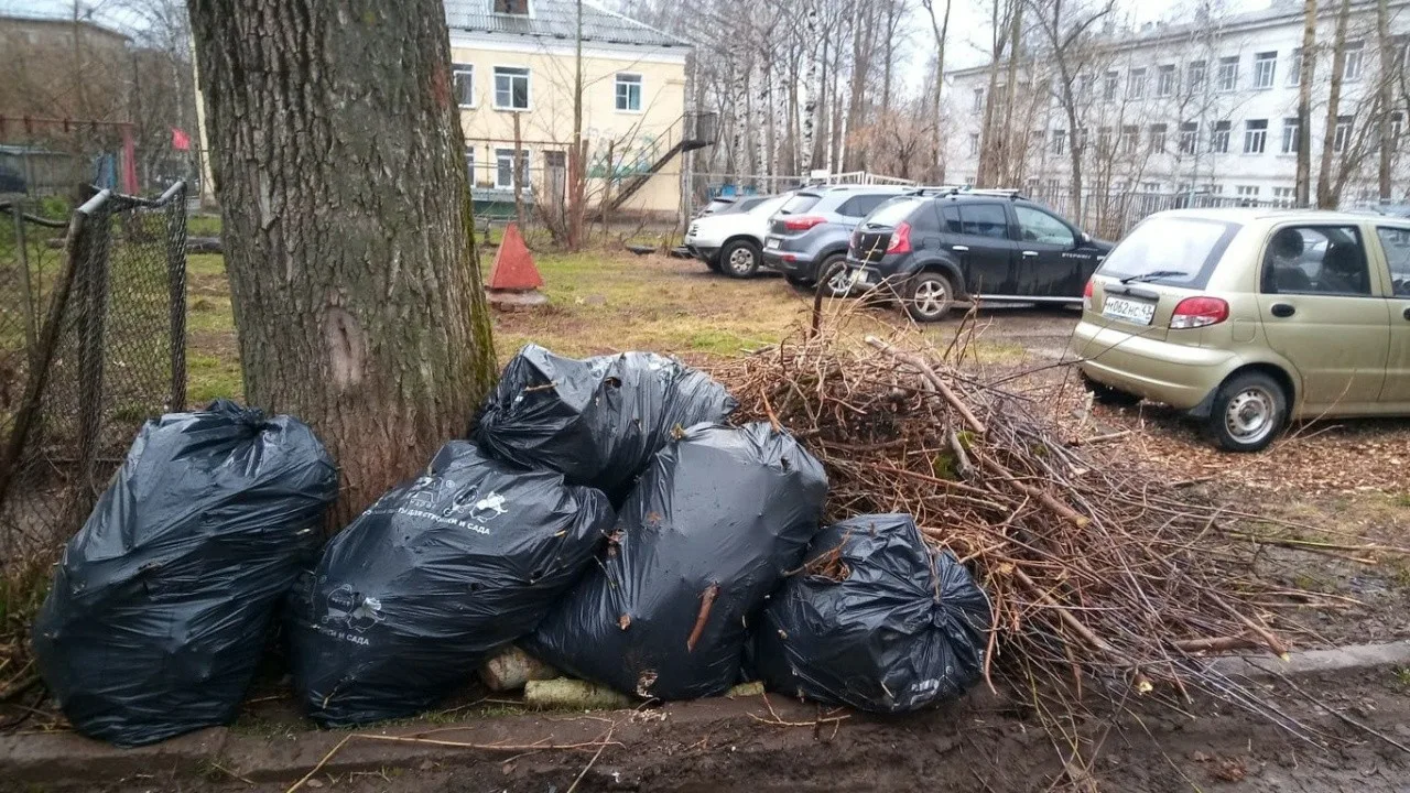 Вывоз мусора после субботника в Валуйках от ПроМусор – уборка и утилизация отходов от 2502 руб