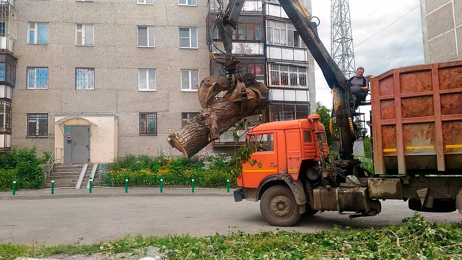 Вывоз спиленных веток и деревьев в Валуйках от ПроМусор: порубочные остатки, утилизация, цена от 3087 руб