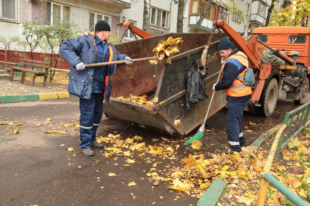Вывоз опавшей листвы и растительного мусора в Валуйках от ПроМусор – цена от 4790 руб., быстрая уборка и утилизация